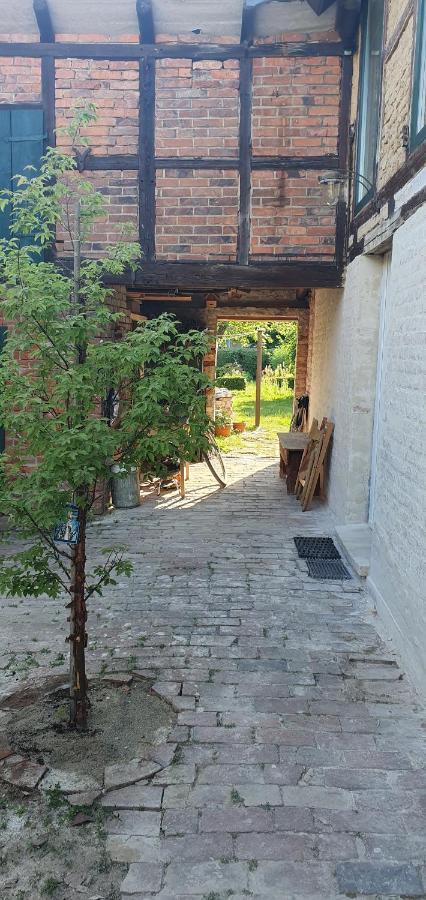 Gartenhaus Schlanstedt Huy المظهر الخارجي الصورة