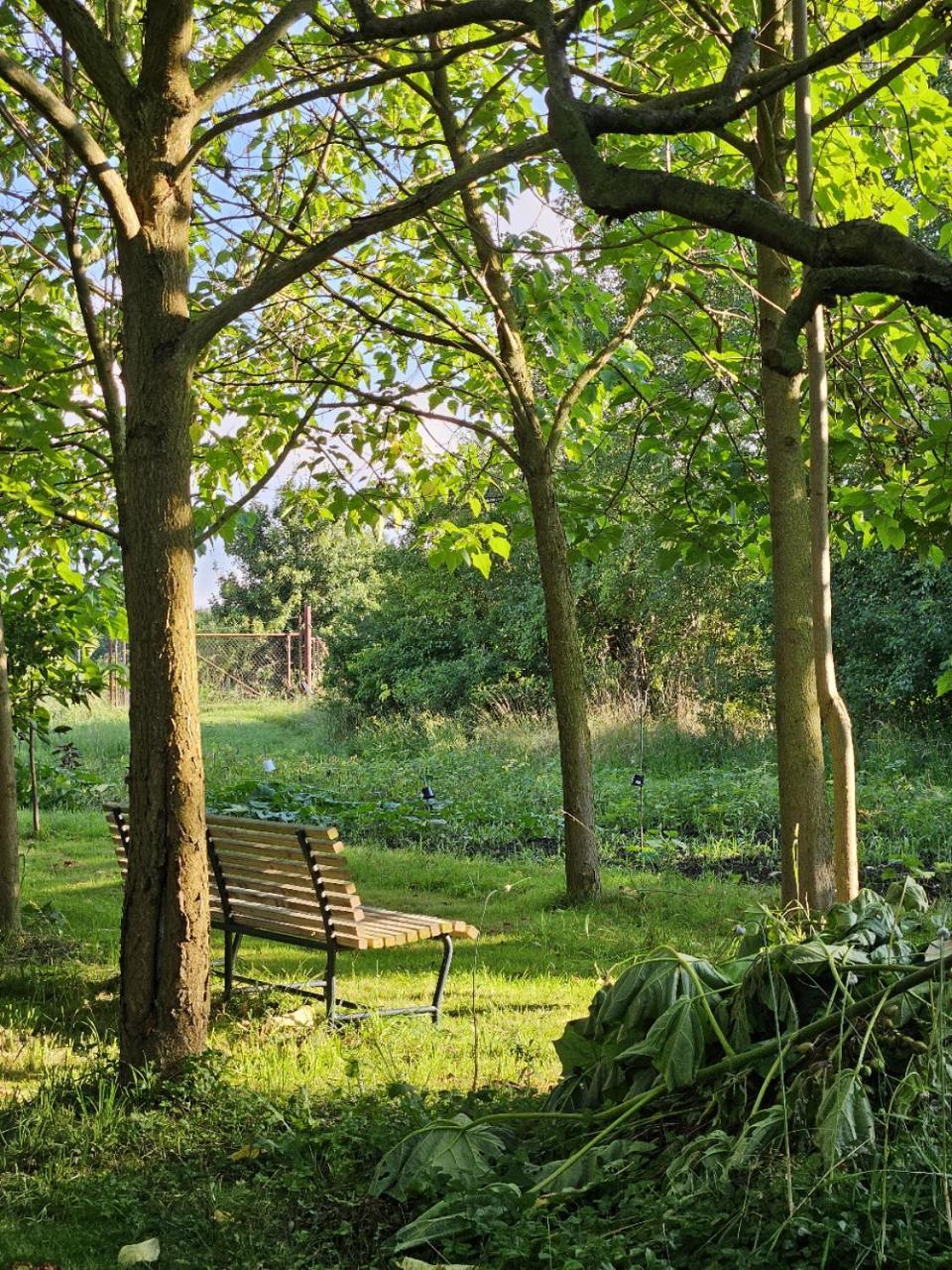 Gartenhaus Schlanstedt Huy المظهر الخارجي الصورة